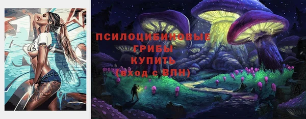 спайс Алексин