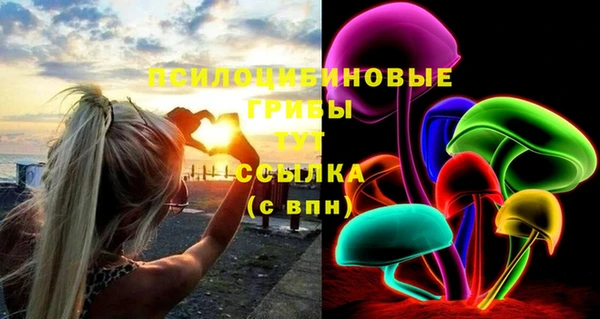 эйфоретик Алексеевка