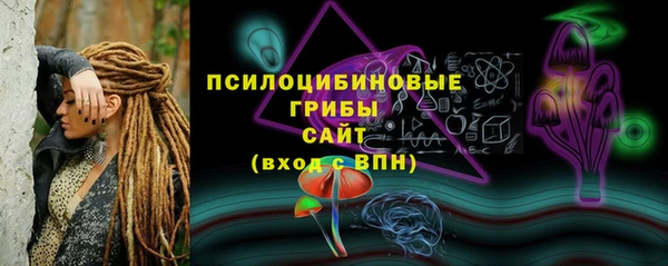 спайс Алексин