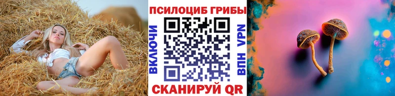 Галлюциногенные грибы GOLDEN TEACHER Наволоки
